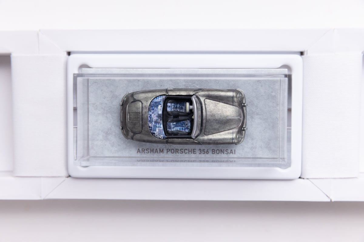 RLC Daniel Arsham Porsche 356 Bonsai - (UNSEALED)